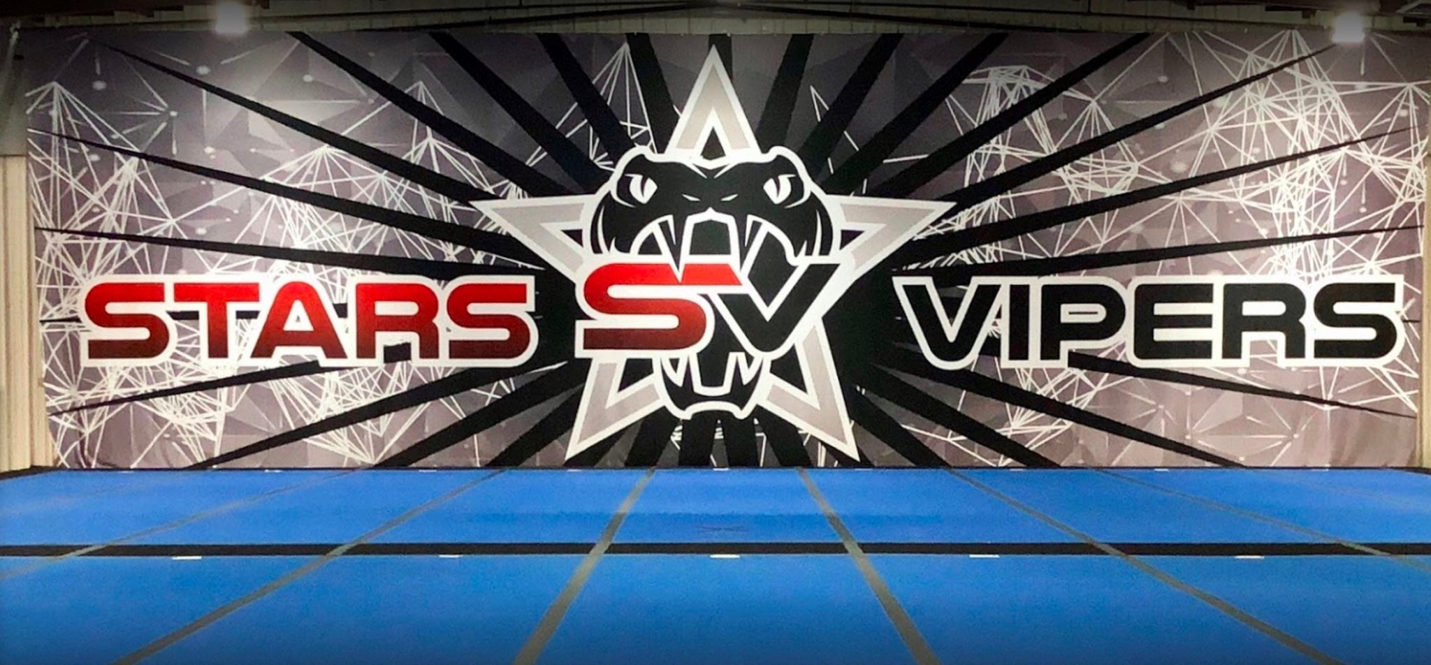 STARS VIPERS - Nfinity