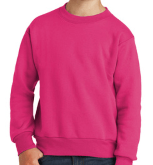 NFINITY MONOTONE LOGO CREW - Nfinity™ Cheer - Outerwear